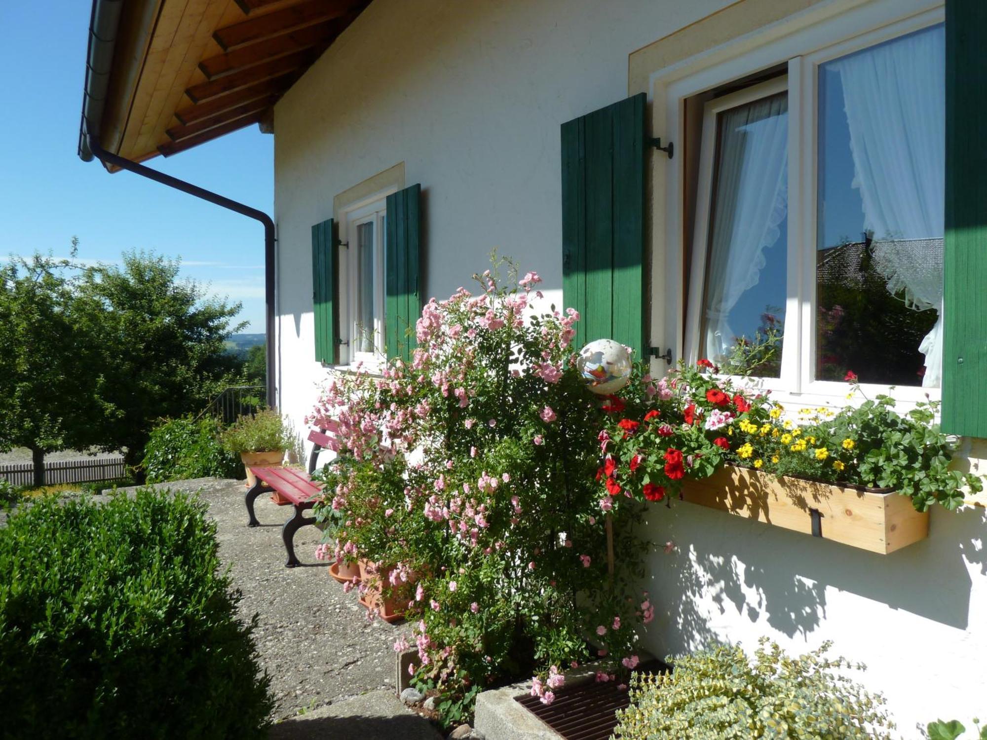 Ferienwohnung Hoernle Bad Kohlgrub Esterno foto